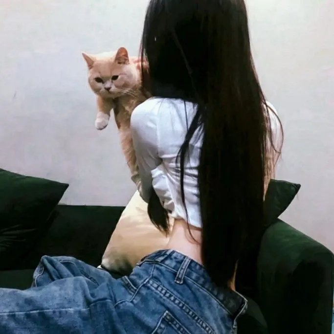 德怀特一家