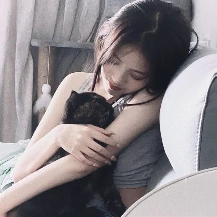 寻宝搭档第一季